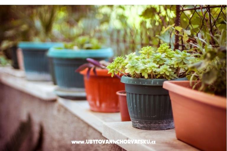 Appartements Villa  Jasminka – foto 12