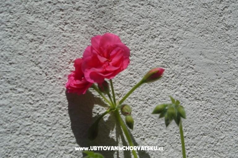 Appartements Sumić – foto 13