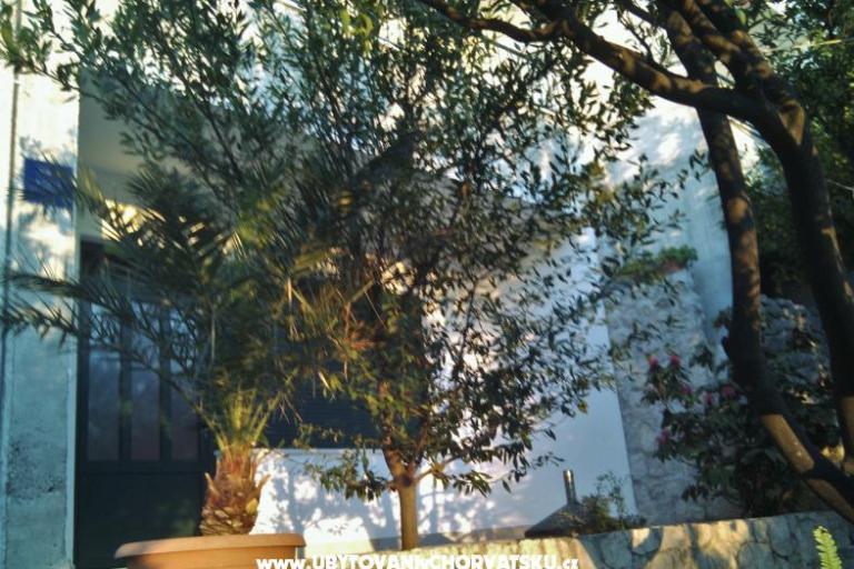 Appartements Brusje – foto 2