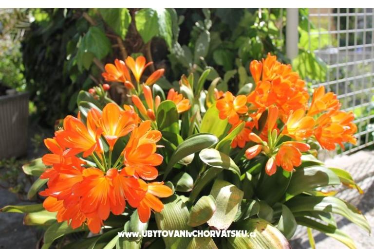 Villa Lidija – foto 16