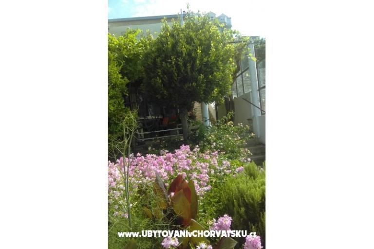 Appartement Adria – foto 10