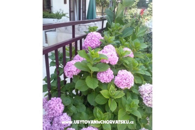 Appartements Dana – foto 11