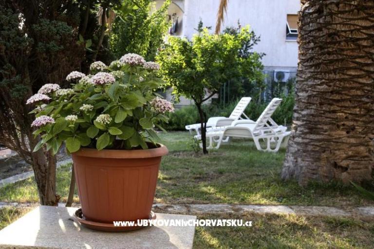 Appartements Domeniko – foto 7