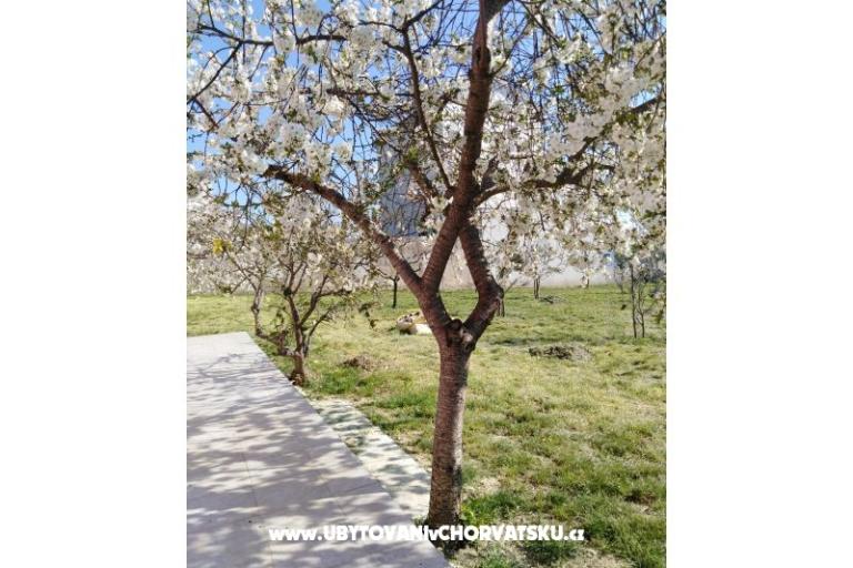 Appartements Renić – foto 13