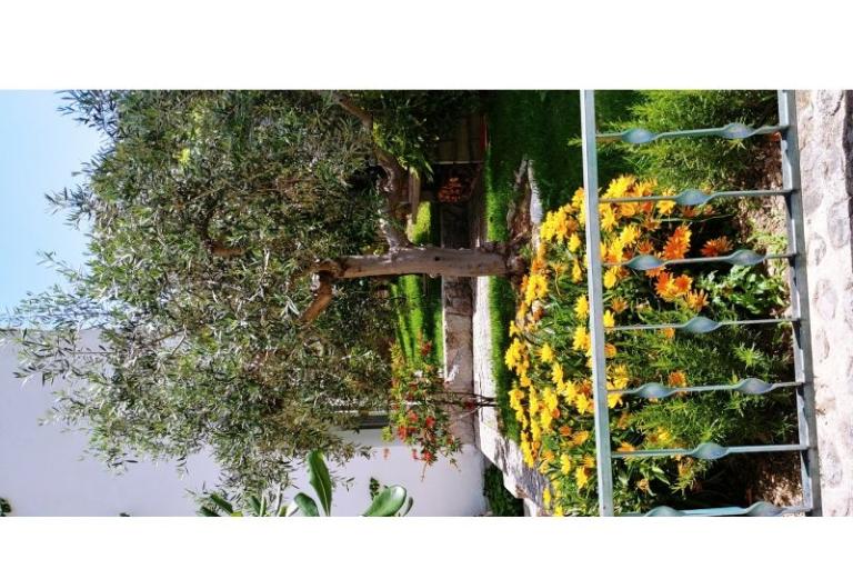 Appartements Mršić – foto 6