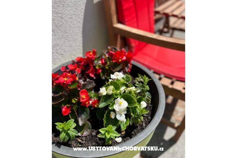 Appartement lux with garden – foto 20