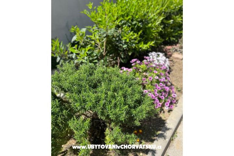 Appartement lux with garden – foto 24