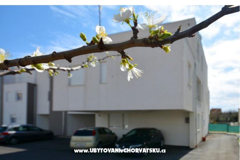 Appartement lux with garden – foto 26