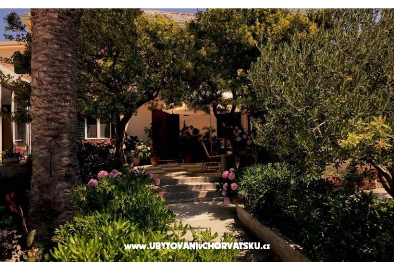 Appartements &amp; Chambres Tomas – foto 6