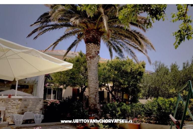 Appartements &amp; Chambres Tomas – foto 7