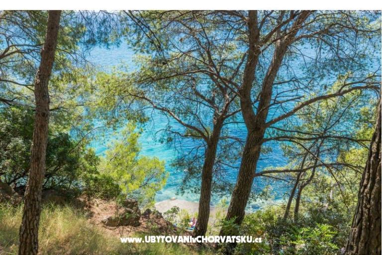 Appartement Lavica Seaside – foto 16