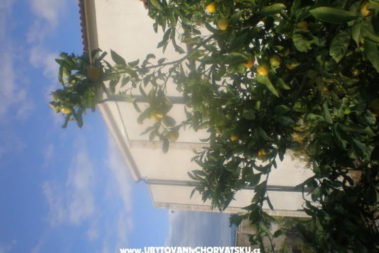 Appartements Mandarić  – foto 15