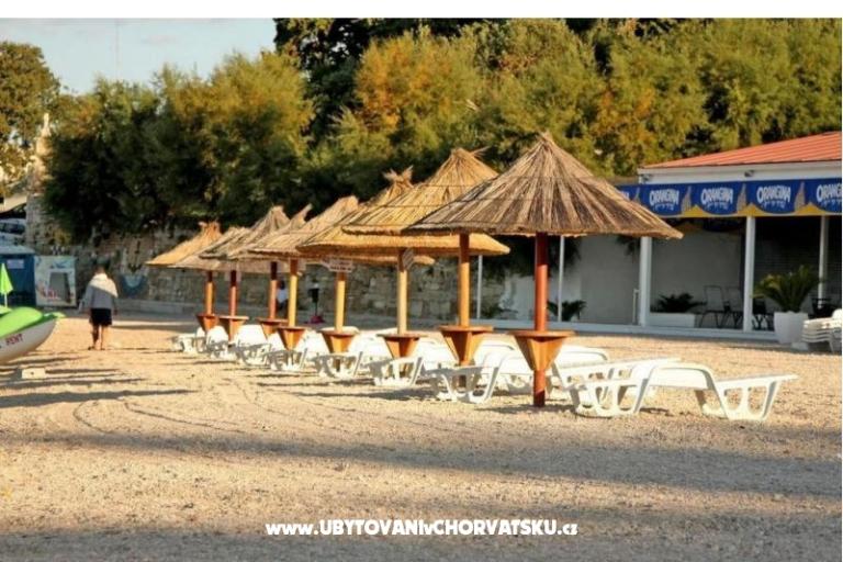 Carso Olea – foto 7