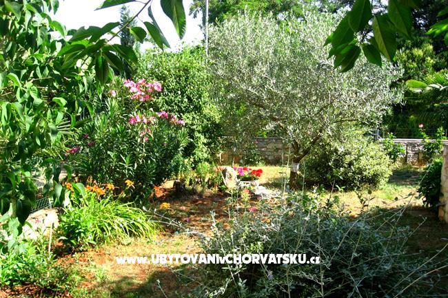 Appartement Nadia – foto 14