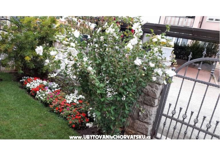 Appartements Dragica! – foto 24