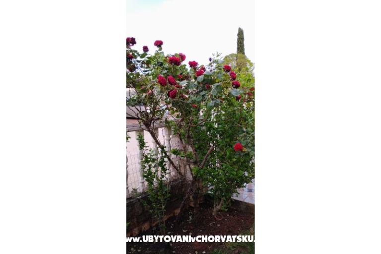 Appartements Dragica! – foto 28