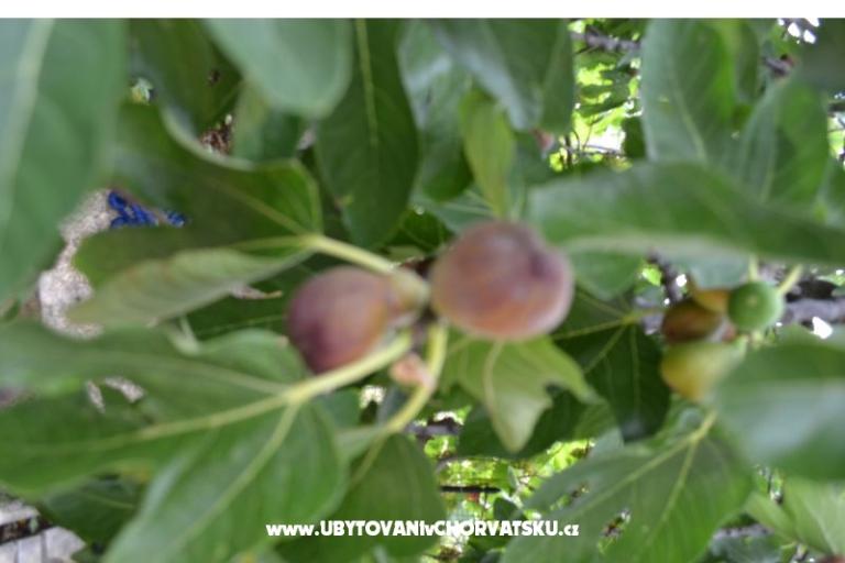 Appartements Lera – foto 7