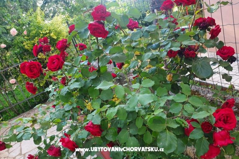 Appartements Kero – foto 15