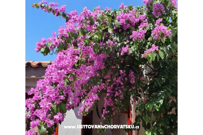 Appartements Kero – foto 3