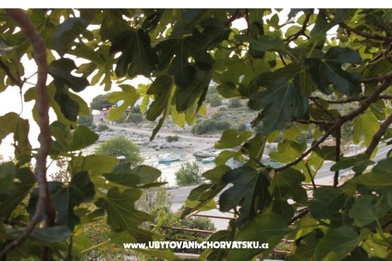 Appartement Brnistra – foto 16