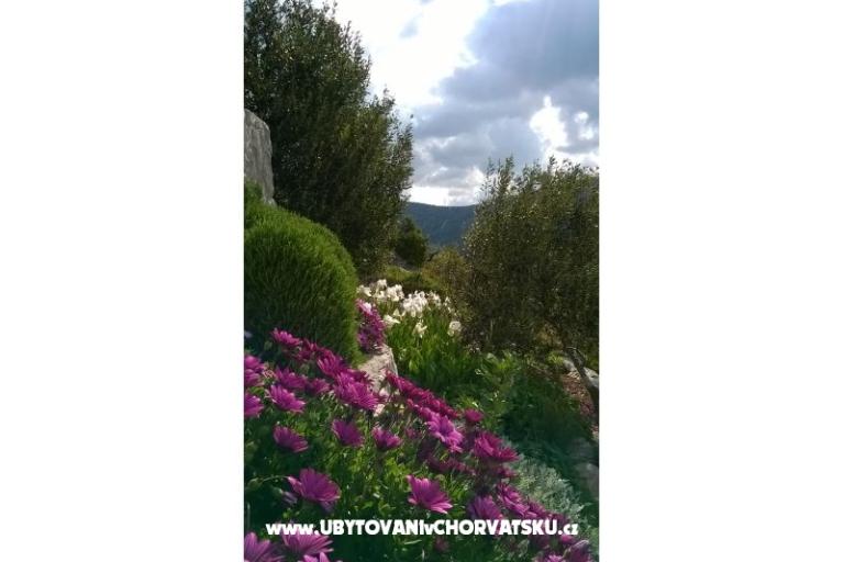 Appartements   Luka – foto 11