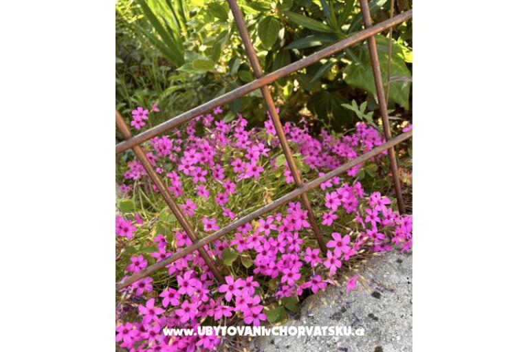 Appartements Šarin – foto 19