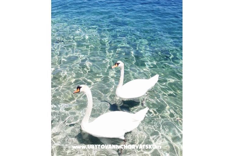 Appartements Šarin – foto 21