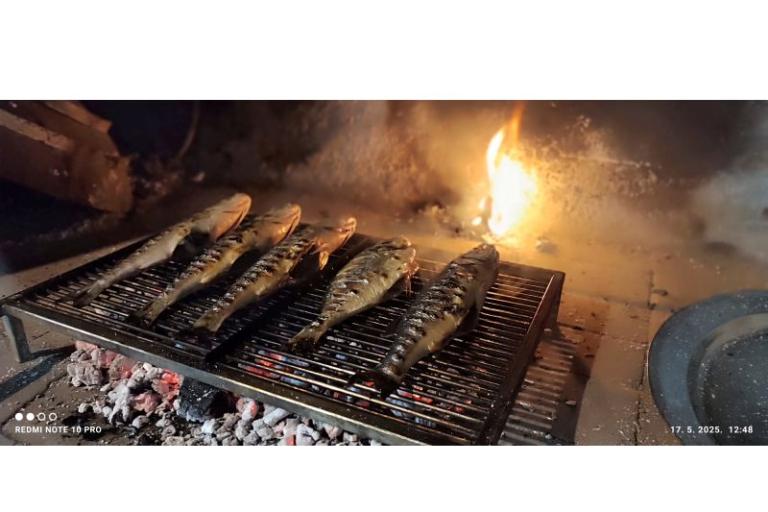 Appartements Svirčić – foto 10