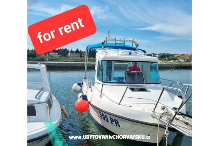 Appartements Vinko Banovac  – foto 11