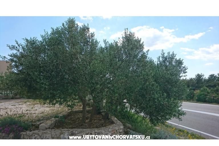 Appartements Kocka  – foto 10