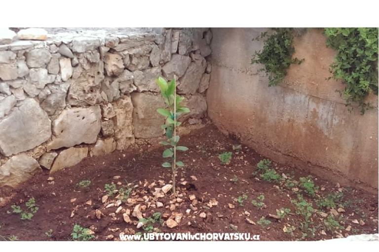 Primosten Appartements Rest place – foto 6