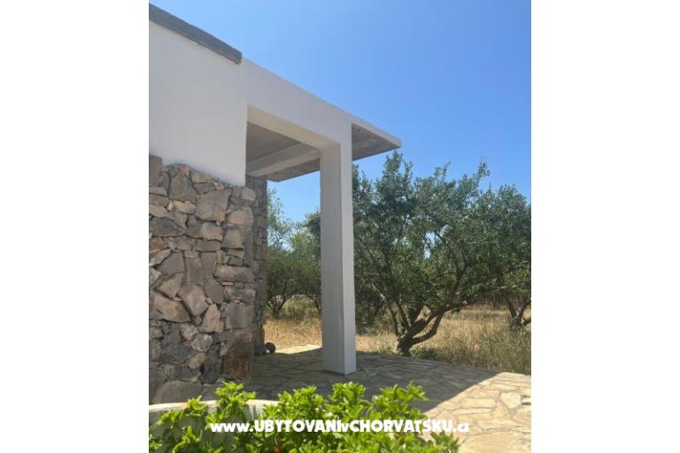 Olive grove – foto 11