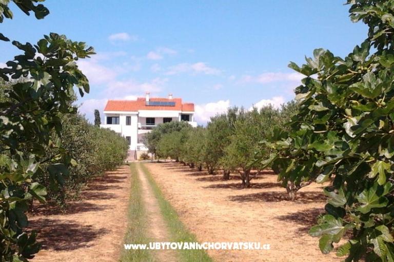 Appartements Vesna a Ante – foto 10