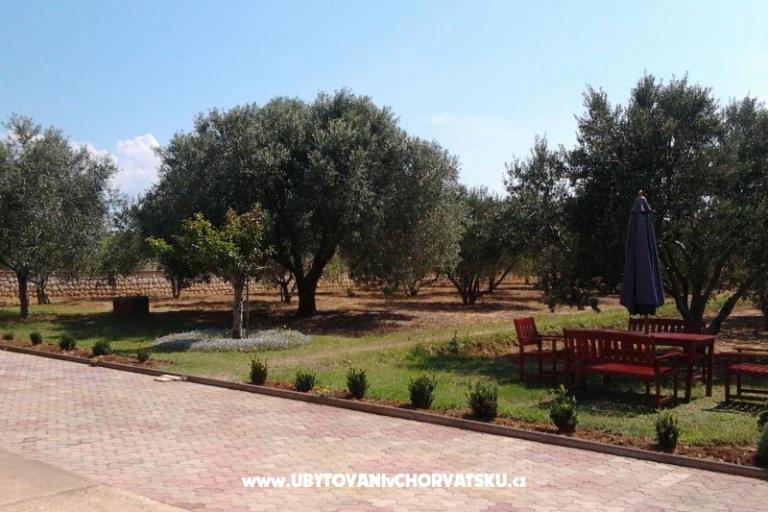 Appartements Vesna a Ante – foto 11