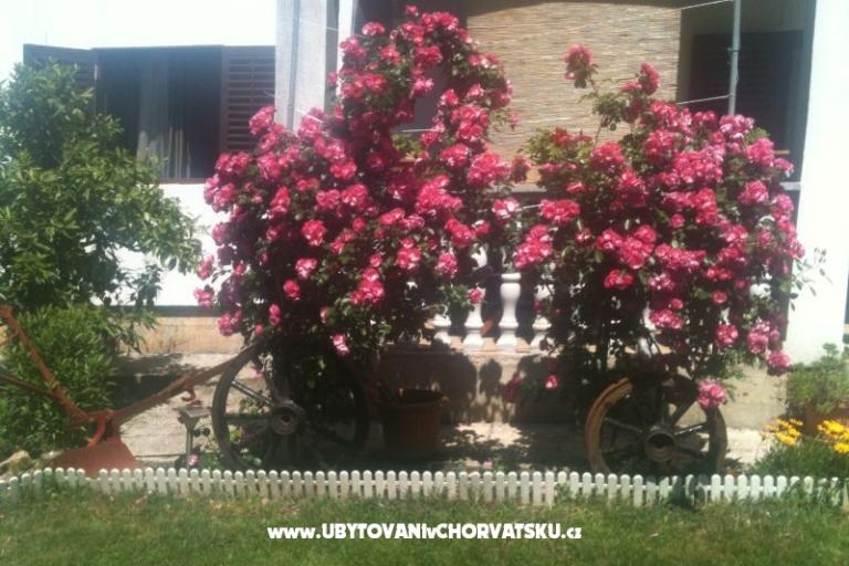 Appartement Luka – foto 15