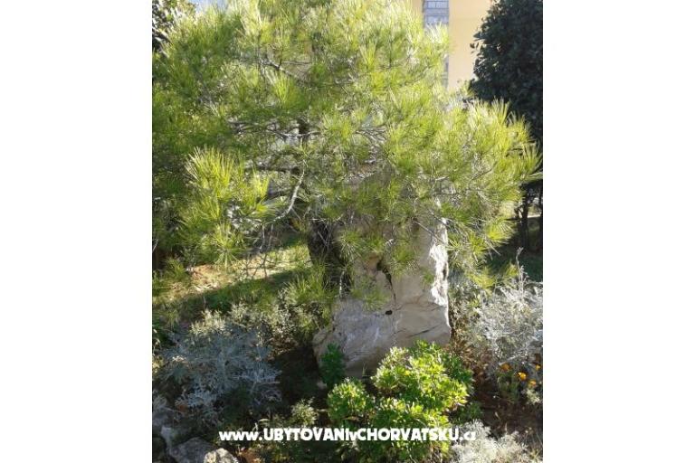 Appartements Mare &amp; Berto – foto 4