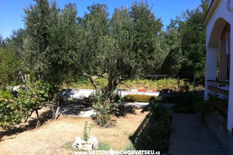 Appartements Ivan – foto 14