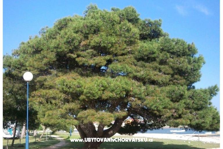 Appartements Šarić – foto 10