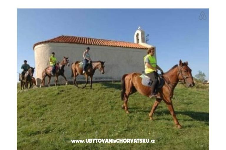 Appartements Šarić – foto 9