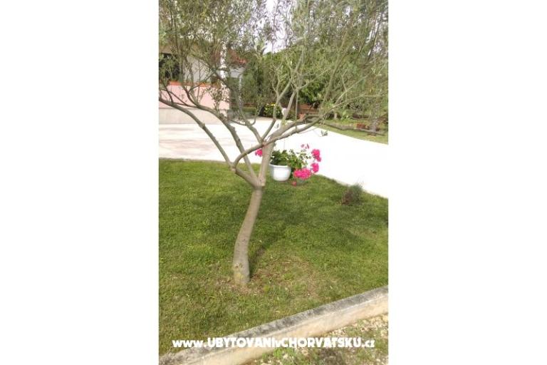 Appartements Tomi – foto 12