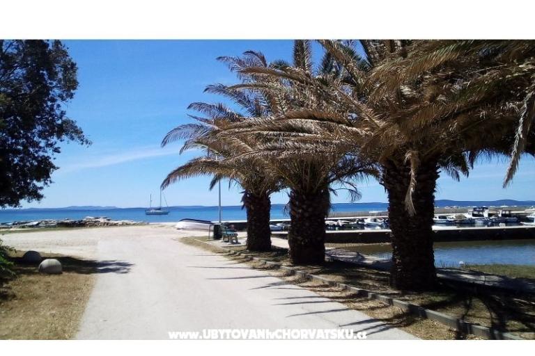 Appartements Tomi – foto 4