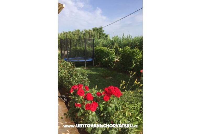 Apartments Lolo – foto 18