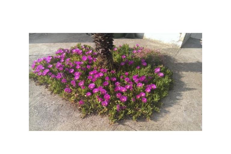 Appartements Šime – foto 10