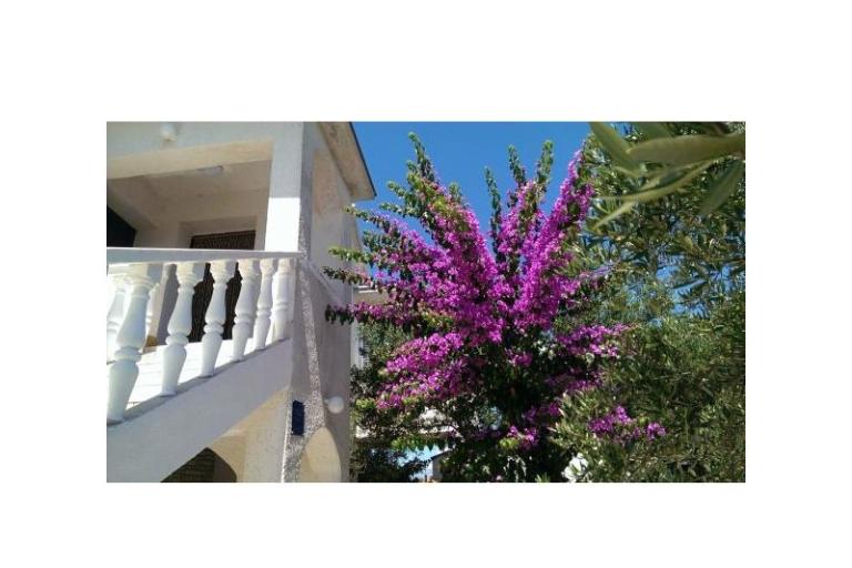 Appartements Šime – foto 14