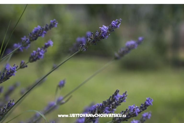 Appartement Lu&amp;Li – foto 18