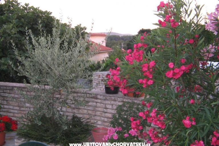 apartman Aurelia – foto 11