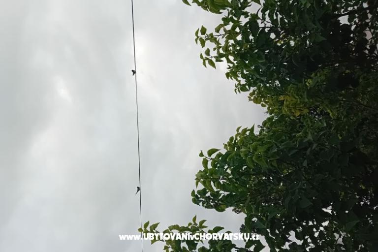 Appartement Križan – foto 19