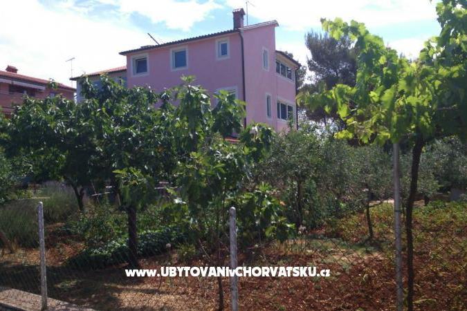 Appartement Maki – foto 2