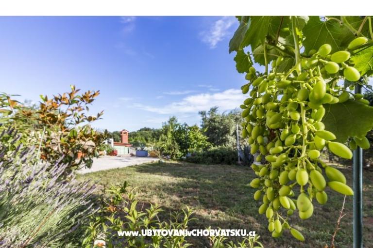 Appartement Mika – foto 12