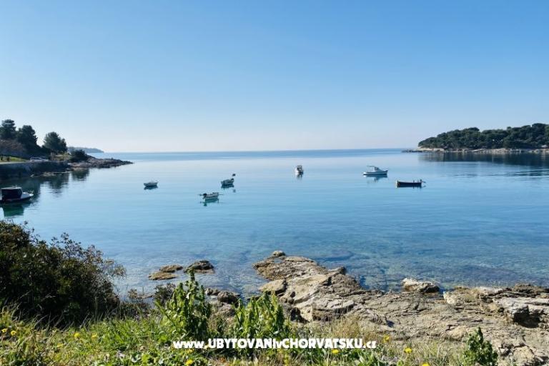 Appartement Viktorija – foto 5